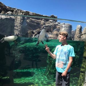 Meet your Posher, Bradley